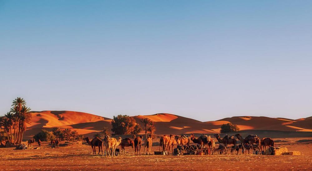 Auberge Camping Ocean Des Dunes Merzouga Esterno foto