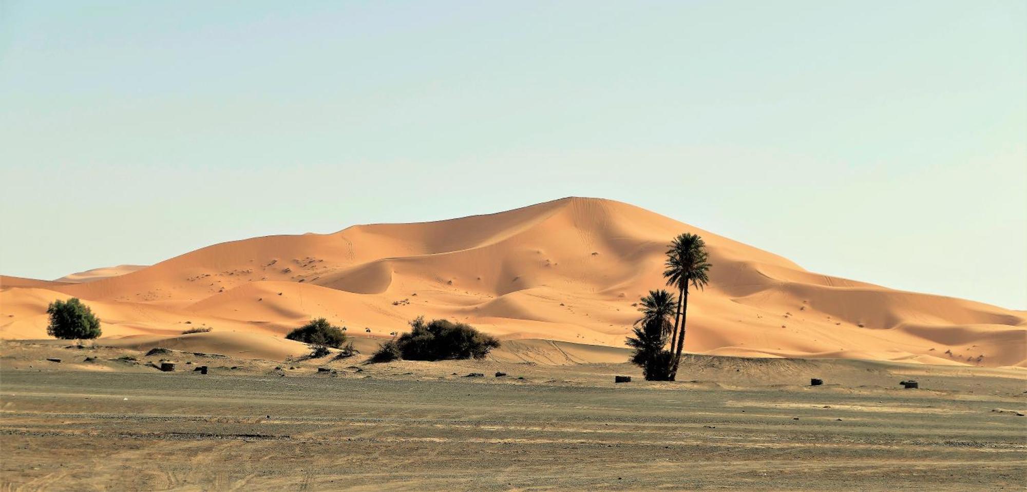 Auberge Camping Ocean Des Dunes Merzouga Esterno foto